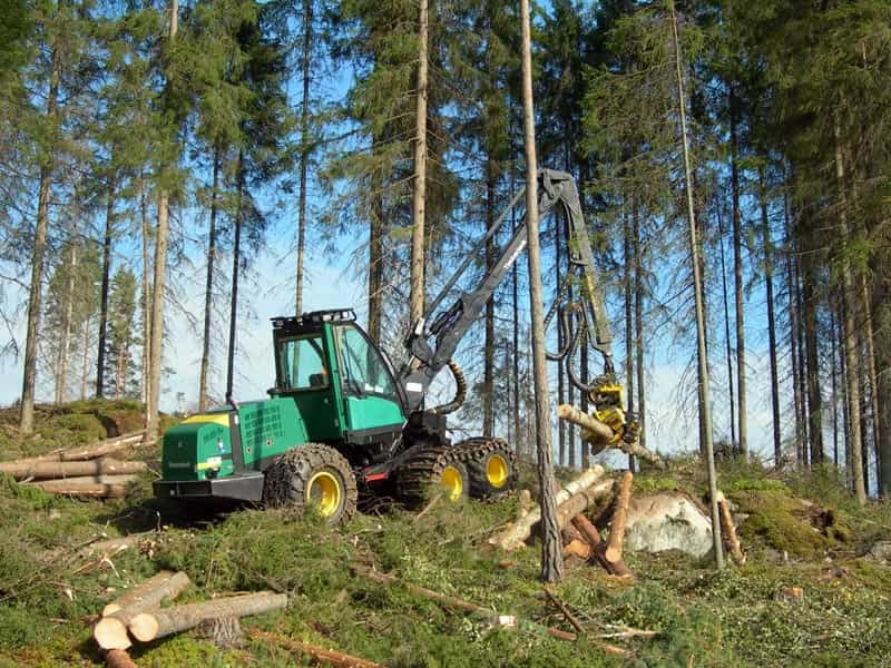 L'abattage d'un arbre peut être manuel ou mécanisé © Heikki Valve, Wikimedia Commons, CC BY-SA 3.0