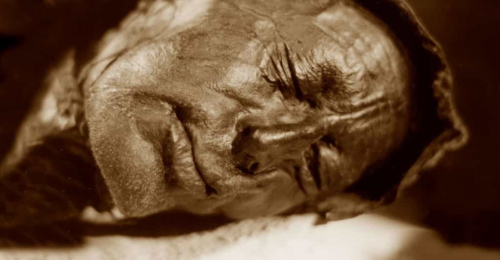 Vue du visage de l'homme de Tollund. © Sven Rosborn, Wikimedia commons, DP