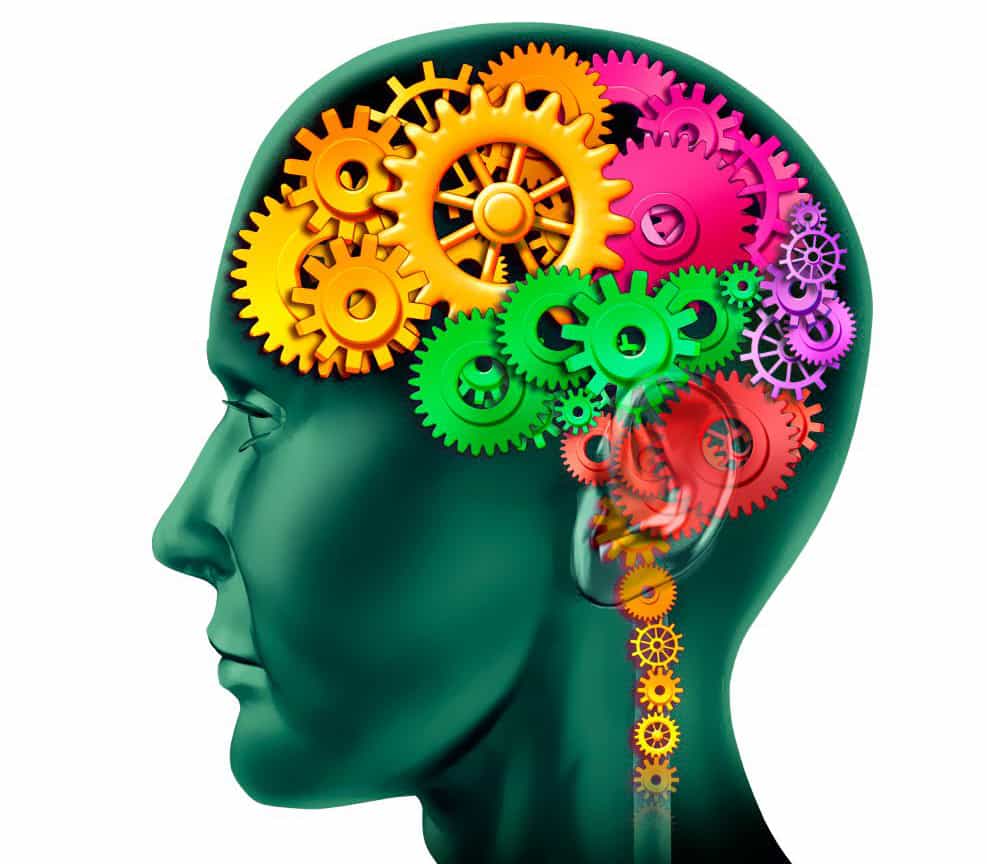 La mémoire est assurée par des connexions spécifiques entre certains neurones. C’est pourquoi les programmes de « gym-cerveau » ne sont que des jeux. © DR