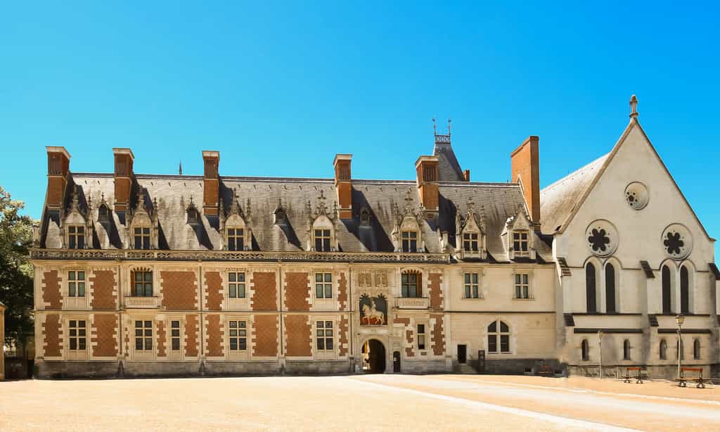 Le château de Blois n'était à l'origine qu'une petite forteresse.&nbsp;© kovalenkovpetr, Fotolia