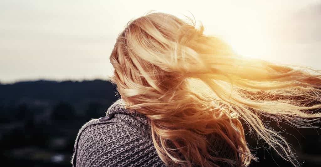 Agressés par le soleil — mais aussi par le sel ou le chlore de l’eau —, nos cheveux ont tendance, l’été, à s’éclaircir. © Free-Photos, Pixabay License