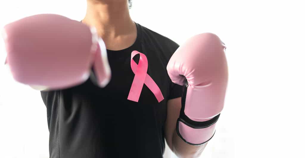 Pour mieux lutter contre le cancer du sein, il faut le connaître au mieux. © Chinnapong, Adobe Stock