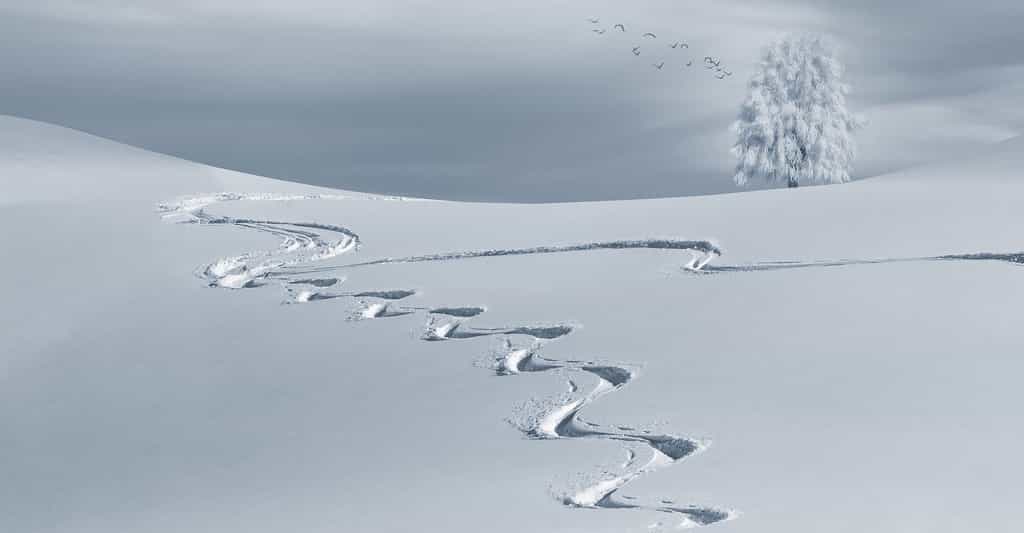Le ski est-il né en Scandinavie ou en Asie ? Les scientifiques sont partagés. © composita, Pixabay, CC0 Creative Commons