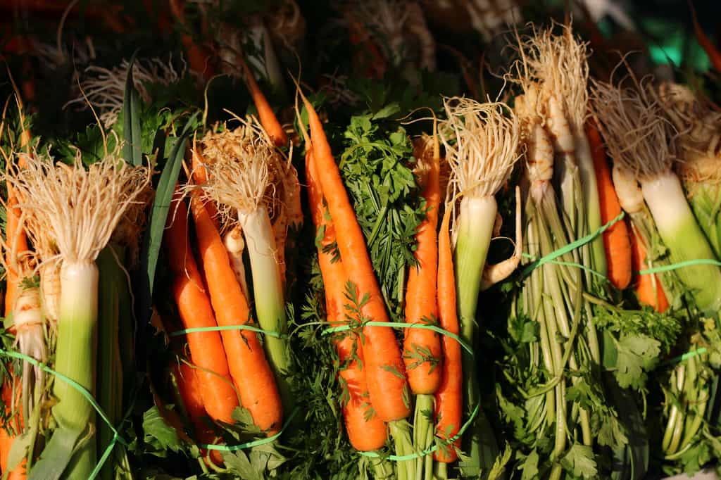 Comment conserver des légumes l'hiver ? © Jankosmowski, Pixabay, DP