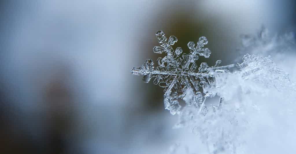 Des milliards de flocons translucides pour constituer un manteau blanc. La neige fait rêver petits et grands. Et elle intrigue les plus curieux. © Aaron Burden, Unsplash