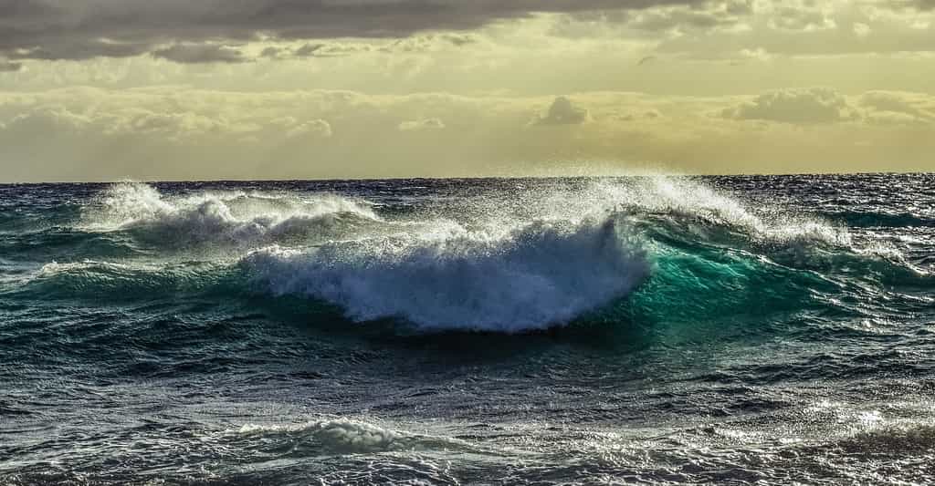 Le potentiel énergétique naturel des énergies marines apparaît gigantesque. © dimitrisvetsikas, Pixabay, Pixabay License