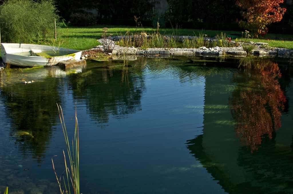 Construire une piscine naturelle permet de mieux l'intégrer dans son environnement.  © Les Jardiniers du Possible, Fotopedia, CC BY-NC 3.0