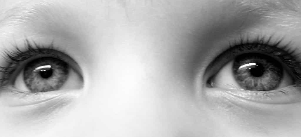 Si j'ai deux yeux, c'est pour mieux te voir mon enfant... En effet, l'appréciation des distances, et donc la vision 3D, ne serait pas ce qu'elle est si nous ne disposions que d'un seul&nbsp;œil au milieu du front.&nbsp;© HouseOfGimp, deviantart.com, cc by nc nd 3.0
