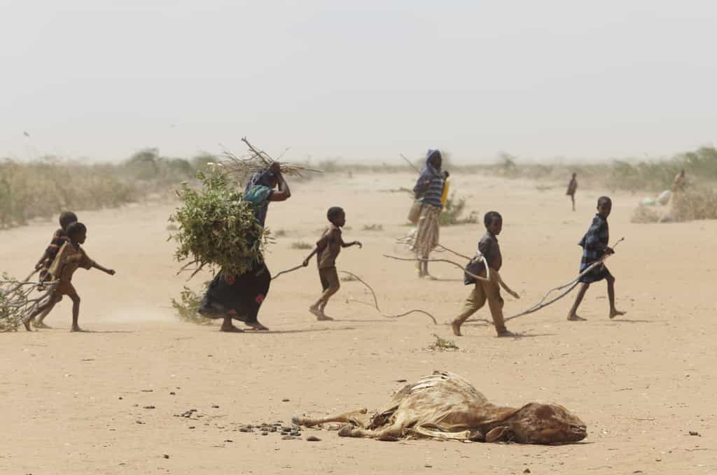 Des réfugiés à Dadaab, au Kenya, où des camps accueillent des réfugiés de guerre mais aussi climatiques. Un animal mort à cause de la sécheresse est visible au premier plan. © Andy Hall/Oxfam East Africa, Wikimedia Commons, CC By-2.0
