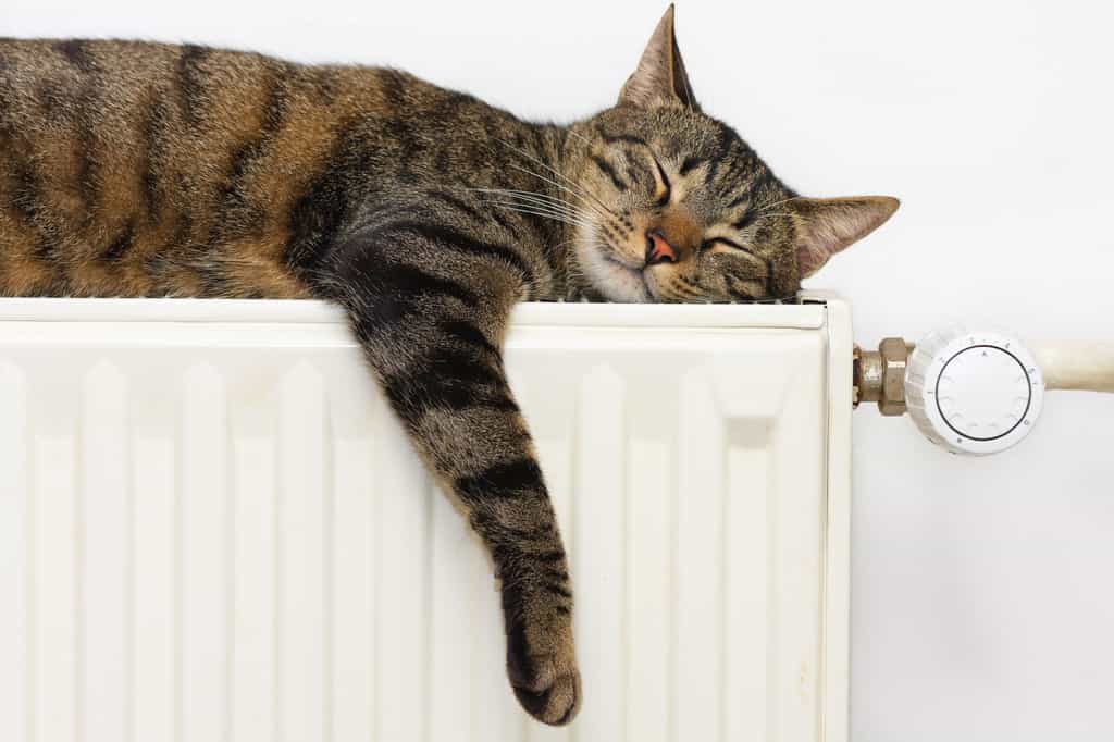 Le robinet thermostatique des radiateurs est gradué afin de pouvoir choisir l'intensité de la chaleur. ©&nbsp;erikzunec, Adobe Stock