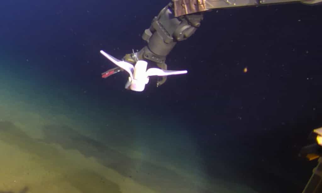 Le robot mou nage de manière autonome à plus de trois kilomètres de profondeur dans la fosse des Mariannes. © Nature