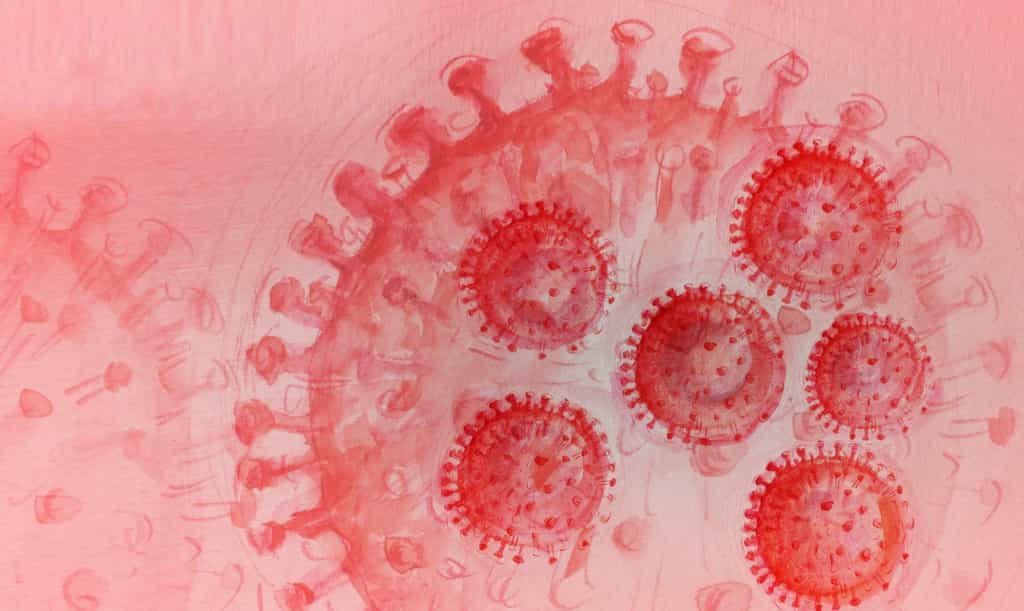 Plusieurs études&nbsp;confirment que les réinfections par le nouveau coronavirus, le Sars-CoV-2,&nbsp;à l’origine de la pandémie de Covid-19 sont possibles.&nbsp;© Annett Seidler, Adobe Stock