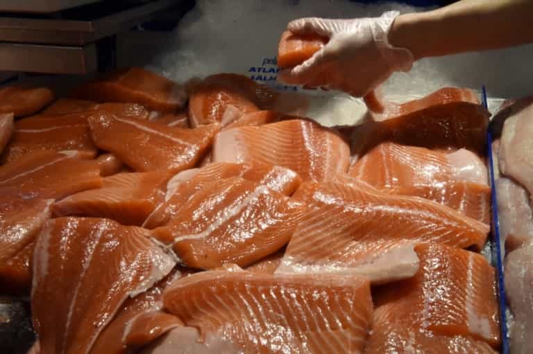Le gouvernement canadien a approuvé la production commerciale du saumon génétiquement modifié AquAdvantage développé par la société de biotechnologie AquaBounty. © Peter Parks - AFP/Archives