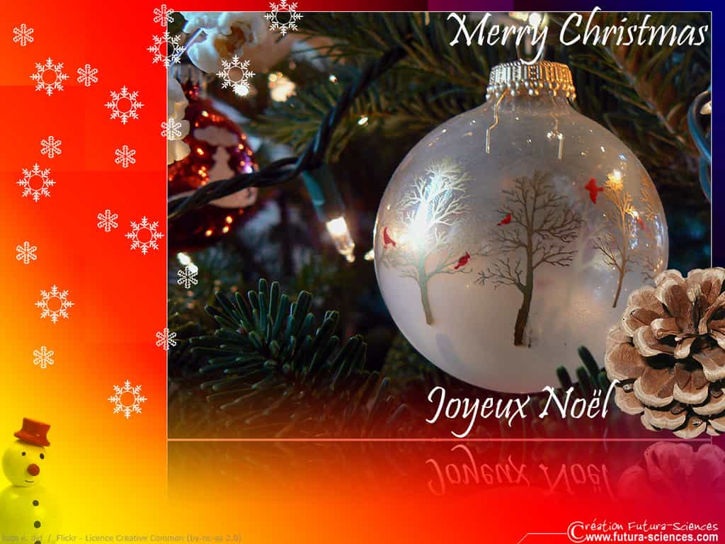 Merry Christmas Joyeux Noël