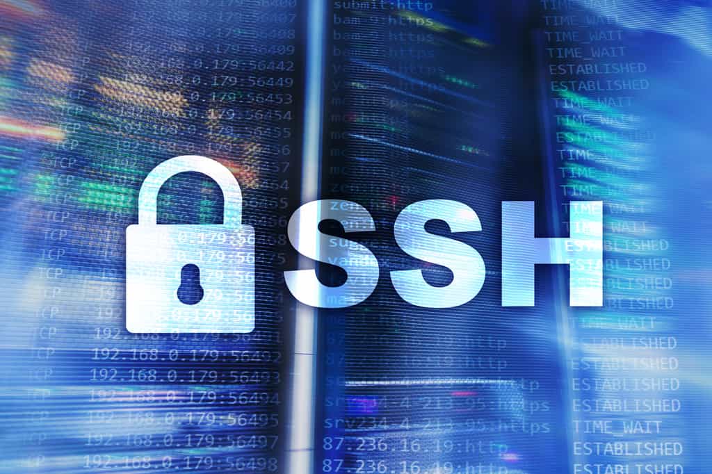 Le SSH est un protocole qui permet de se connecter à une machine distante avec une liaison sécurisée. Les données sont cryptées entre machines. Il permet d'exécuter des commandes sur un serveur distant. © Funtap, Adobe Stock