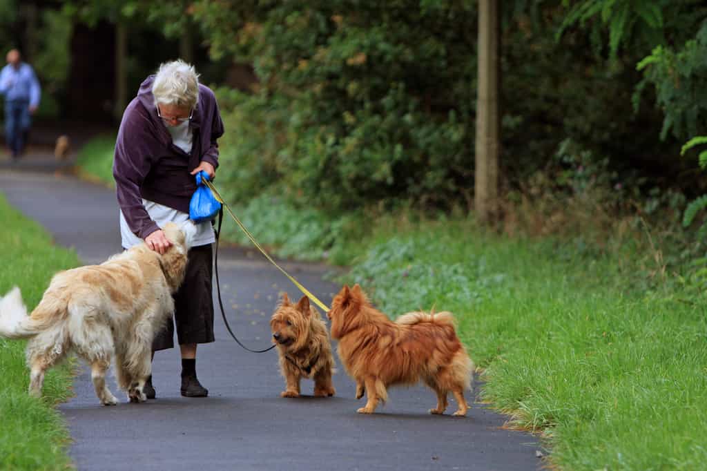 Cette promeneuse de chien, à Londres, semble savoir communiquer avec la gent canine. © Domaine public