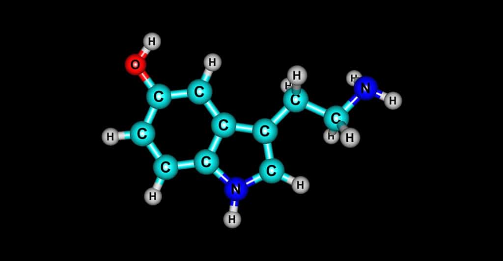 Qu'est-ce que la sérotonine ? © fotolia