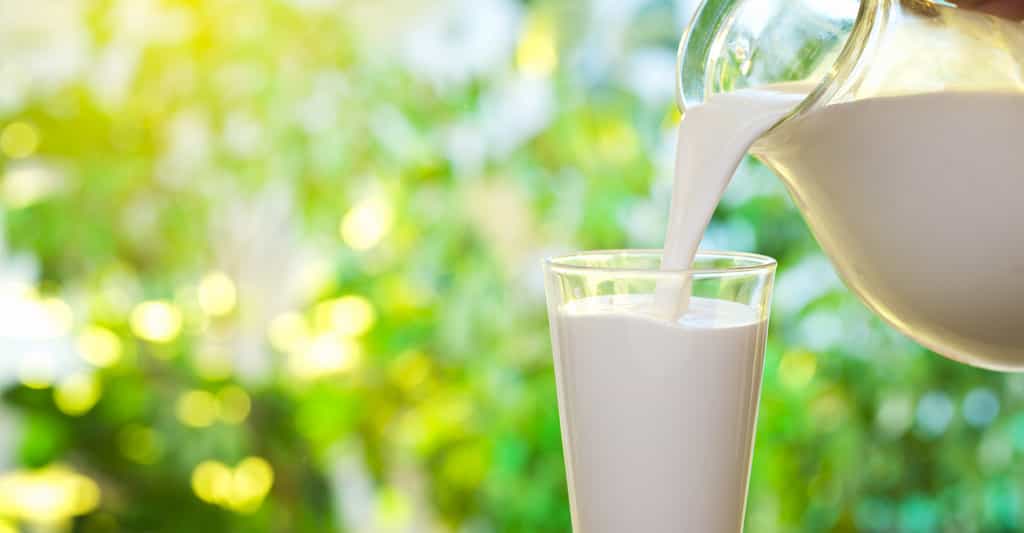Allergie et recherche : les allergies aux protéines du lait