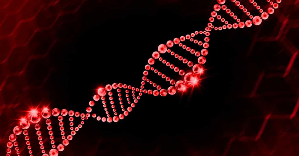 Parmi les biotechnologies rouges (aussi appelées biotechnologies de la santé) figurent les techniques de séquençage de l’ADN. © Vichy Deal, Shutterstock