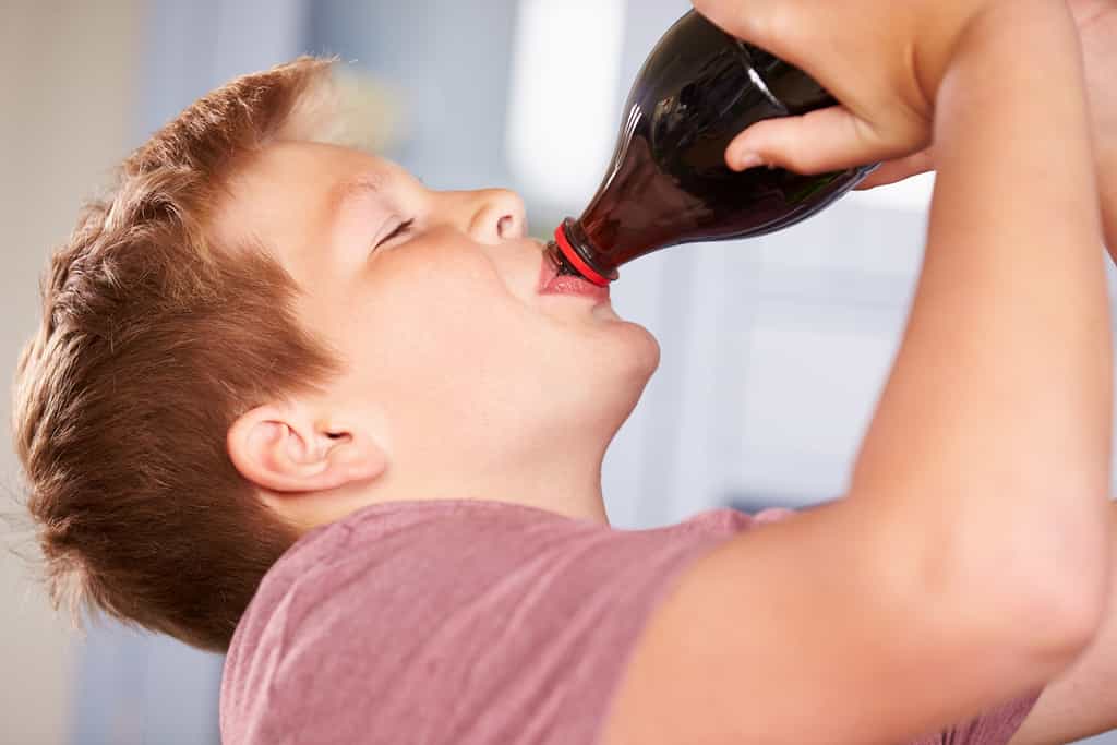 Obésité infantile, sodas… Les spécialistes s’inquiètent des risques pour le foie des enfants. © Monkey Business Images, Shutterstock
