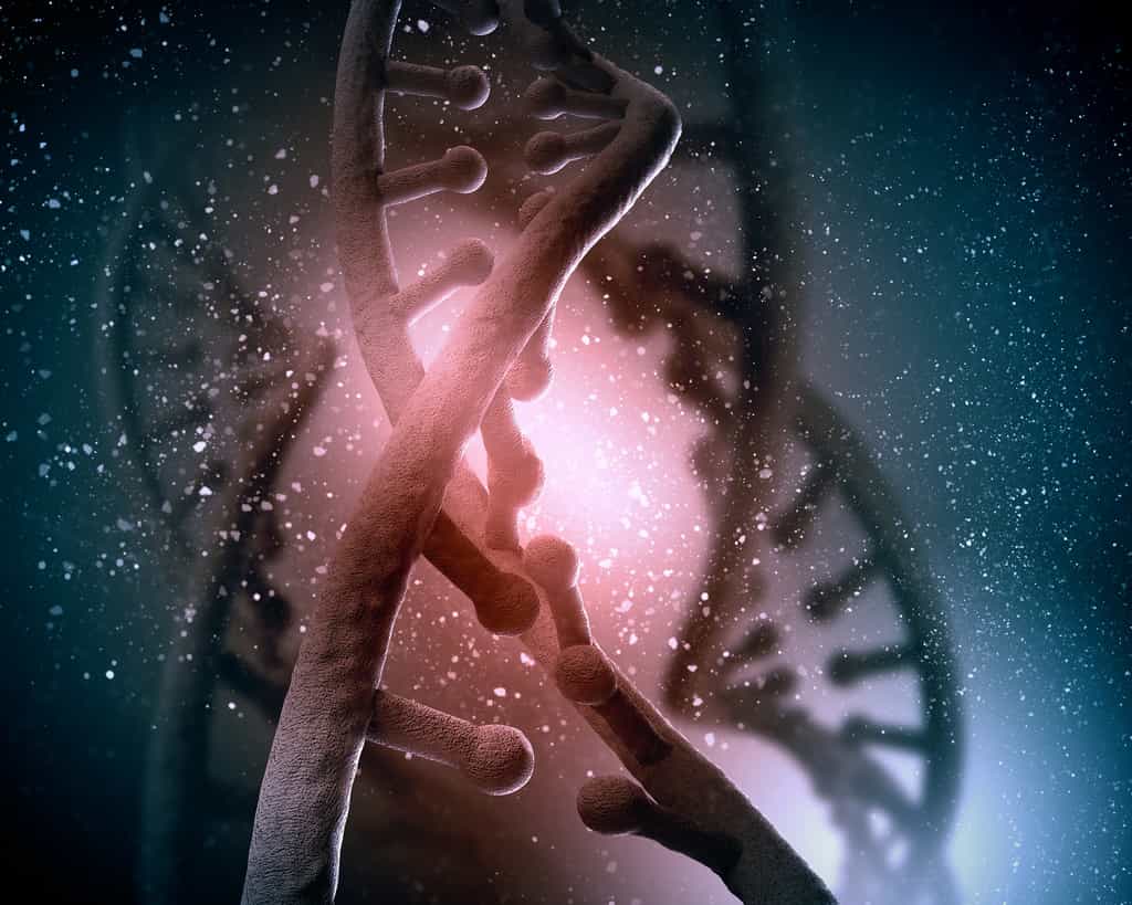 En intervenant sur l'ADN non par manipulation génétique mais simplement en provoquant des mutations, une équipe américaine a conduit à faire faire à une bactérie ce qu'aucune cellule vivante terrestre ne sait faire. Et cette fonction, qui consiste à utiliser le silicium, pourrrait être utile à des organismes vivant sur une autre planète. © Sergey Nivens, Shutterstock