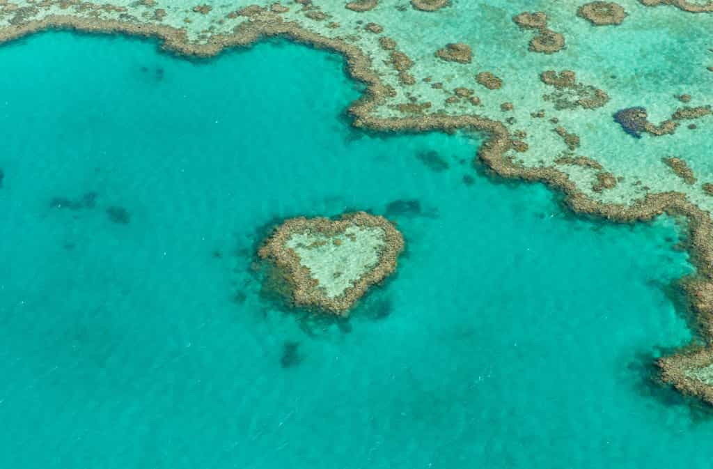 La Grande Barrière de corail, au large de l’Australie, est le plus grand récif corallien au monde. © Tomas Sykora, Shutterstock