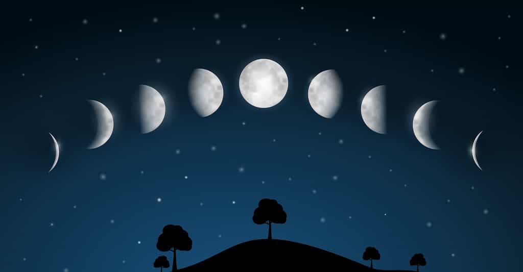Les phases de la Lune et le cycle lunaire fascinent depuis… la nuit des temps ! © mejnak, Shutterstock