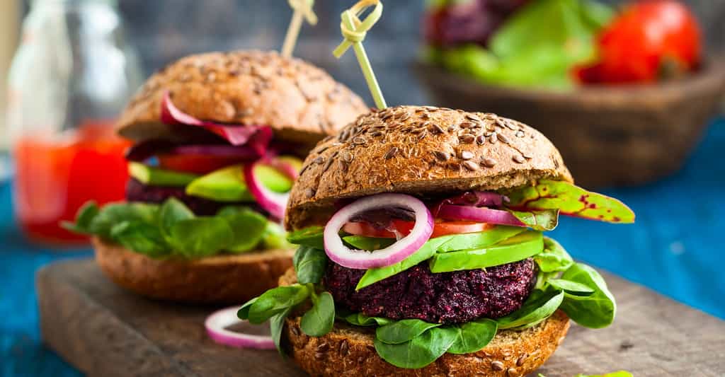 Pas de steak ni de cheddar dans un hamburger végétalien. © sarsmis, Shutterstock