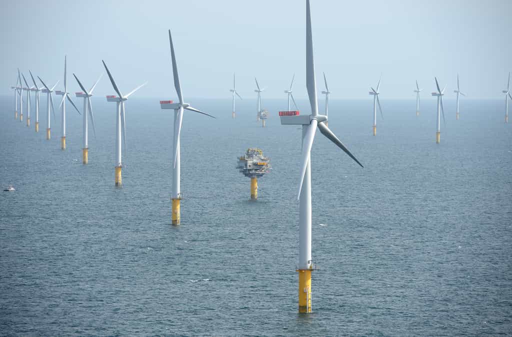 Le parc éolien de Sheringham Shoal, en mer du Nord, au large de Norfolk, en Angleterre, atteint une puissance de 316,8 MW. © NHD-Info, CC by-sa 2.0