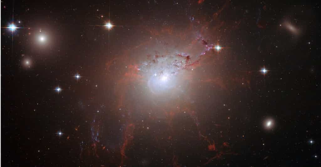 NGC 1275 est la galaxie dominante de l'amas de Persée. C'est vers elle que tombent les autres galaxies. C'est aussi une puissante radiogalaxie, avec un noyau actif (3C84) et de longs filaments de gaz très chaud (plusieurs millions de degrés) émettant en rayons X. Elle est ici photographiée dans le visible par Hubble. La taille de l'image correspond à environ 260.000 années-lumière. © Nasa, Esa, Andy Fabian