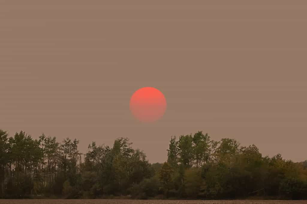 Le ciel et le soleil ont pris une tournure étrange ces derniers jours en France, en lien avec les incendies canadiens. © Saeedatun, Adobe Stock