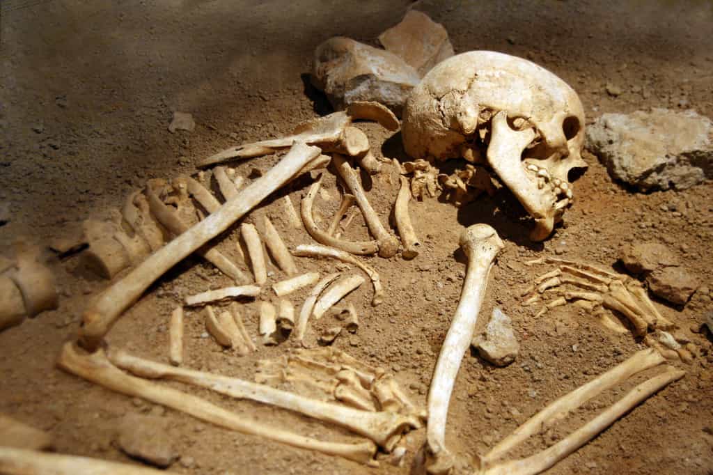 Les squelettes dans les tombes rouvertes au Moyen Âge étaient repositionnés. © tuulimaa, Adobe Stock