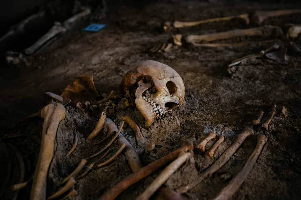 Sur un site archéologique français, des chercheurs ont fait une étonnante découverte qui nous renseigne sur les pratiques sacrificielles du Néolithique. © Mulderphoto, Adobe Stock