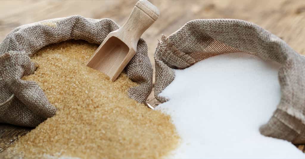 Le sucre roux contient plus de sels minéraux et de vitamines que le sucre blanc raffiné. © fotorince, Shutterstock
