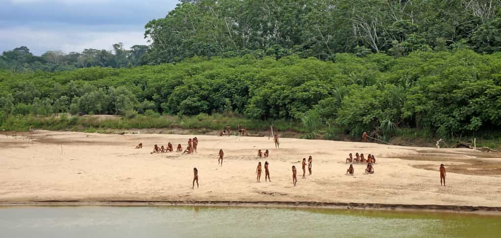 Récemment, des dizaines de membres de la tribu Mashco Piro ont été filmés à proximité de concessions forestières, preuve de l’inaction gouvernementale pour protéger les terres occupées par ce peuple autochtone péruvien. © Survival International