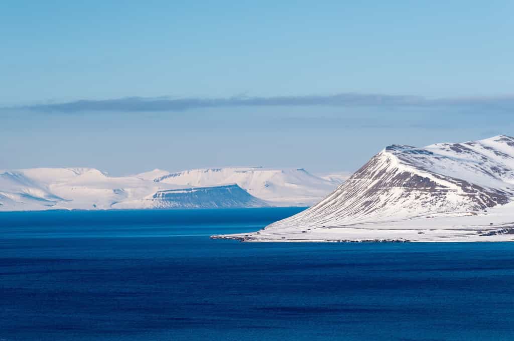 La biodiversité sous-marine explose en Arctique avec l'augmentation des températures. © htearse, Pixabay