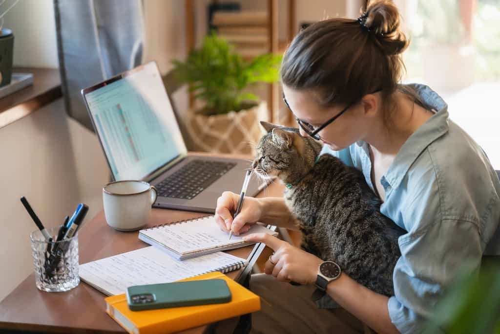 Avec les confinements dus à la crise du Covid, le télétrvail s'est généralisé. © Olezzo, shutterstock.com