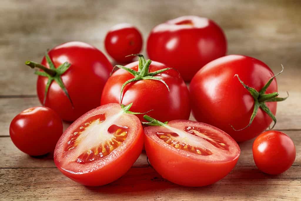 Savoureuses tomates. © Mara Zemgaliete, Adobe Stock