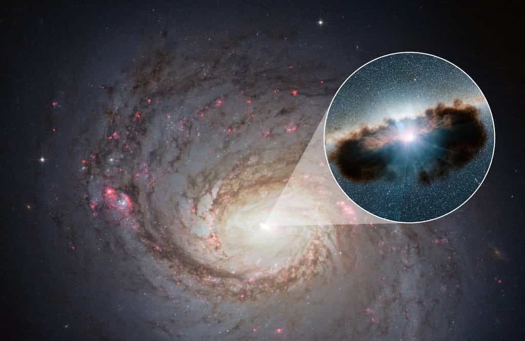 Une vue d'artiste du trou noir supermassif entouré de son tore de poussière à l'intérieur de la galaxie NGC 1068. © Nasa