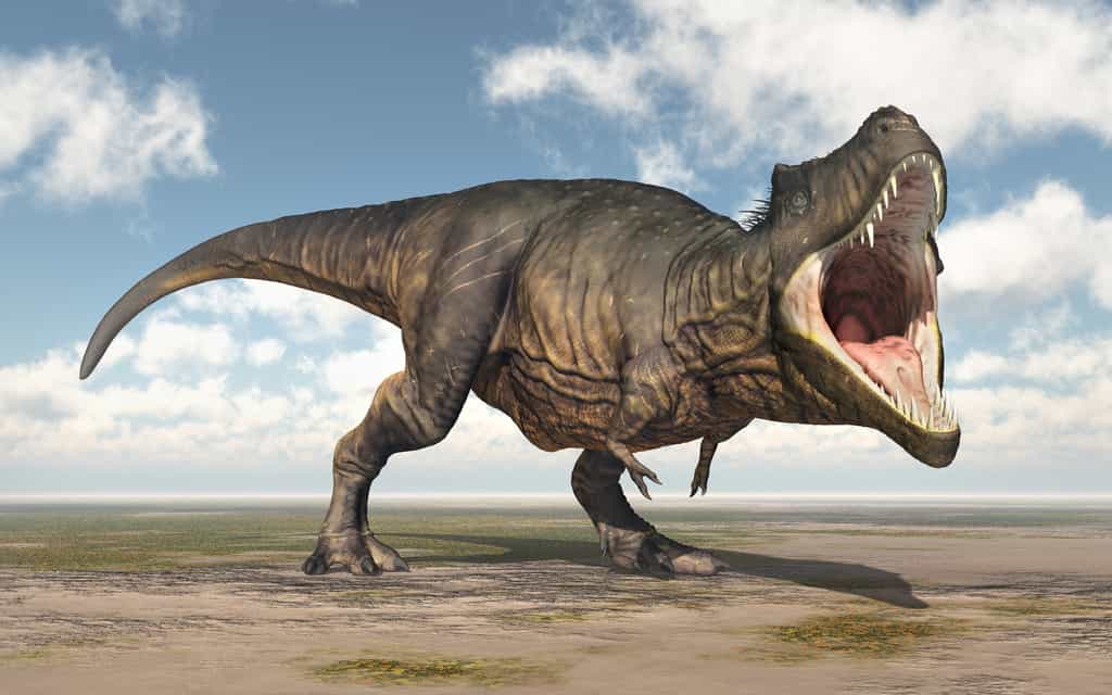 Le Tyrannosaurus rex est un redoutable prédateur de la fin du Crétacé. © Michael Rosskothen, Fotolia