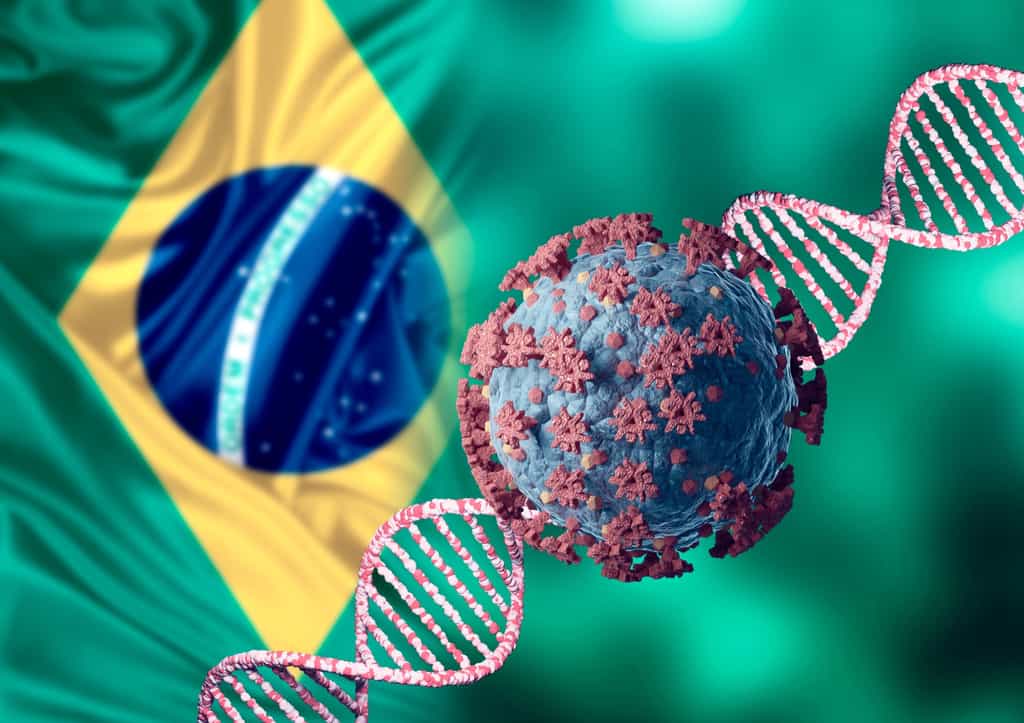 Variant brésilien : le virus qui met en alerte les autorités sanitaires. © AGPhotography, Adobe Stock
