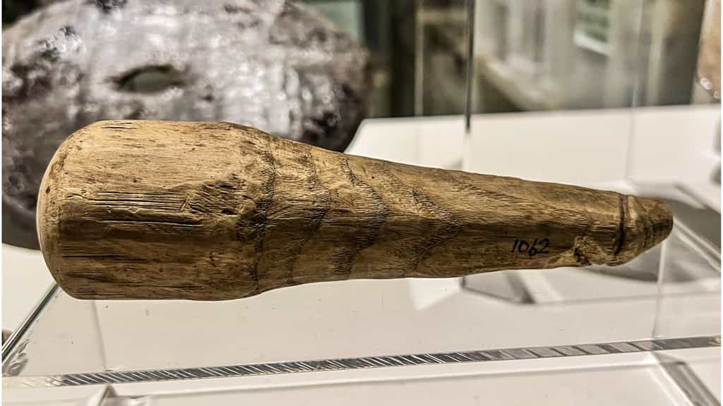 Le phallus de bois exposé au public fait partie des collections du musée de Vindolanda, en Grande-Bretagne. © Vindolanda Trust