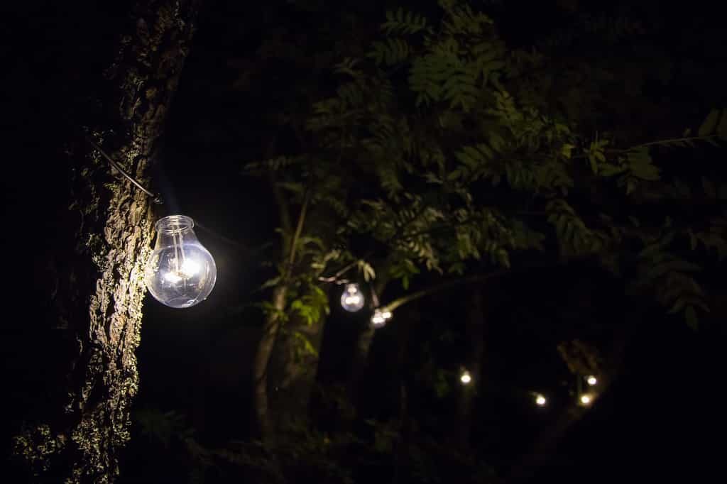 Les ampoules classiques, avec un filament, disparaissent peu à peu des maisons et des jardins. © Kostiolavi, Pixabay