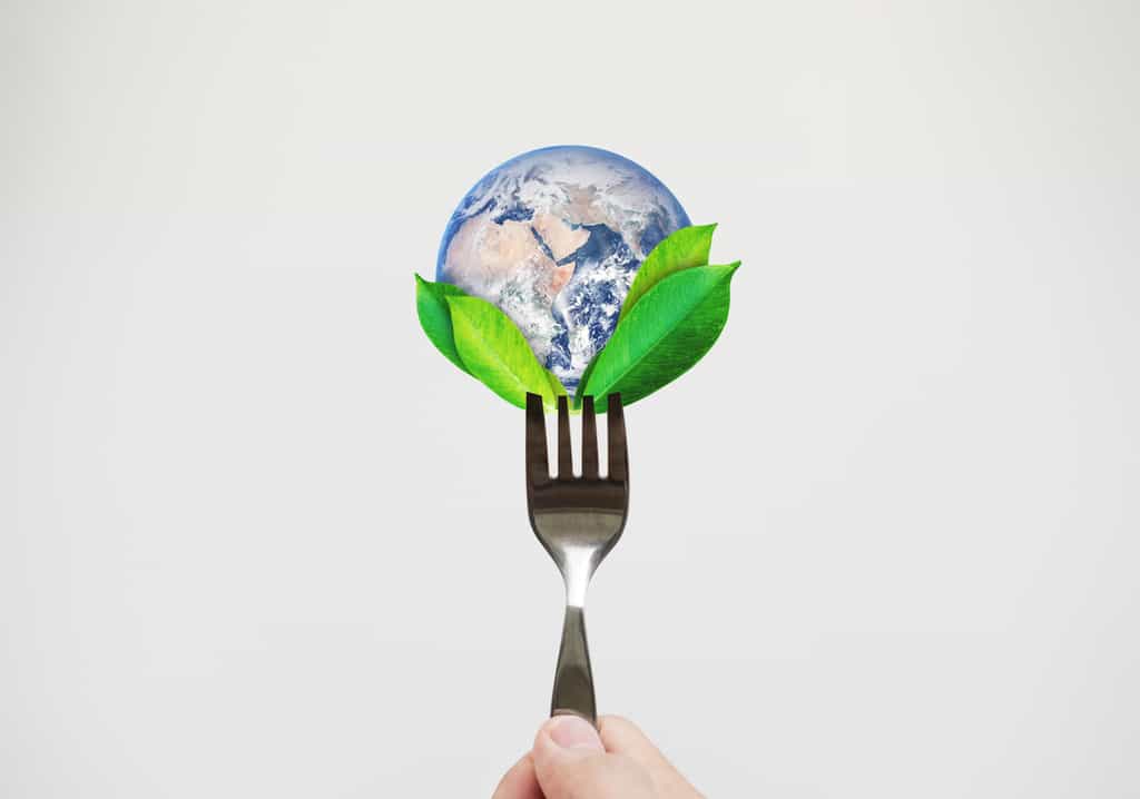 Manger écolo, c'est prendre soin de sa santé et par conséquent de l'économie de son système de santé. © SasinParaksa, Adobe Stock