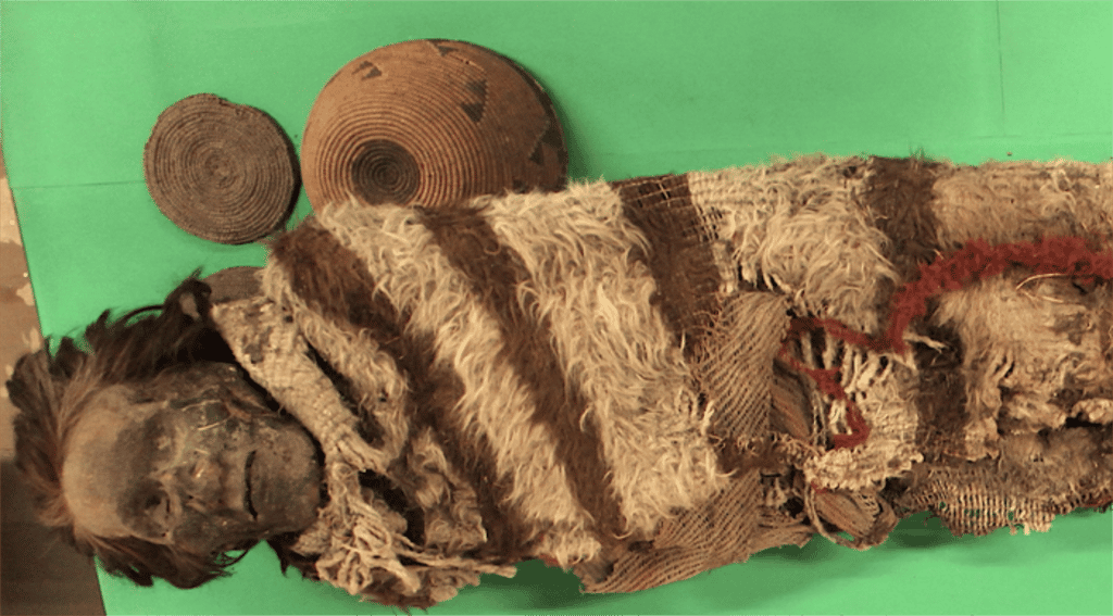 Momie d'un homme appartenant à la culture d'Ansilta, datant d'il y a environ 2.000 ans et trouvé dans les Andes en Argentine. © Universidad Nacional de San Juan
