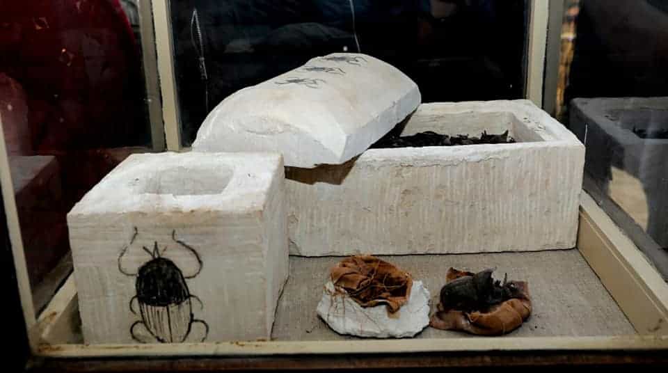 Deux gros scarabées momifiés ont été conservés en très bon état emballés dans du lin à l’intérieur d’un sarcophage en calcaire au couvercle orné de trois scarabées peints en noir. Un autre sarcophage de forme cubique plus petit contenait aussi une collection de momies de scarabées. © Ministère des antiquités égyptien