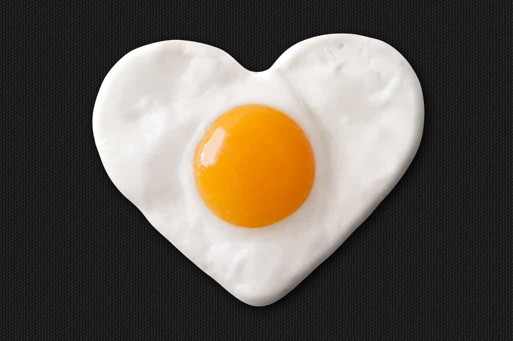 Aucune corrélation sérieuse n'existe entre consommation d'œufs, cholestérol sanguin et maladies cardiovasculaires. © marcelmondocko, Adobe Stock