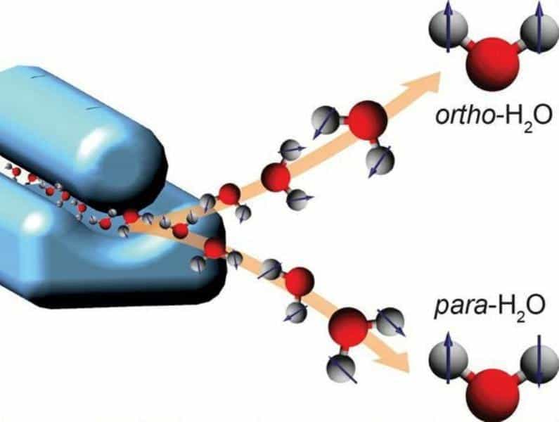 Dans une expérience réalisée en Allemagne, un groupe de physiciens a réussi à séparer en deux faisceaux moléculaires les molécules d’eau de type ortho et para ordinairement mélangées dans l’eau. Ce schéma montre les molécules d’eau ortho avec les spins des protons (sous forme de flèches) des atomes d’hydrogène (gris) orientés tous en haut, alors que ceux des molécules para sont orientés dans des directions opposées. Les atomes d’oxygène sont en rouge. © D. A. Horke, CFEL, DESY