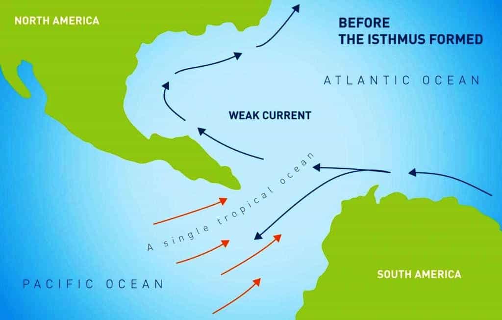 Il y a des millions d'années, l'océan Pacifique et l'océan Atlantique communiquaient grâce à la Central American Seaway. La circulation océanique n'était alors pas la même qu'aujourd'hui, ce qui se traduisait par un climat différent. © Smithsonian Tropical Research Institute