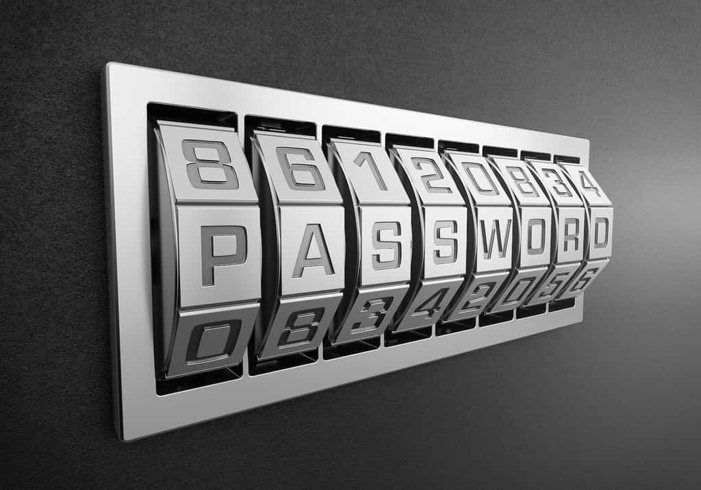 Les mots de passe (passwords, en anglais) sont un moyen de sécuriser l'accès aux données. © Pixabay, AbsolutVision